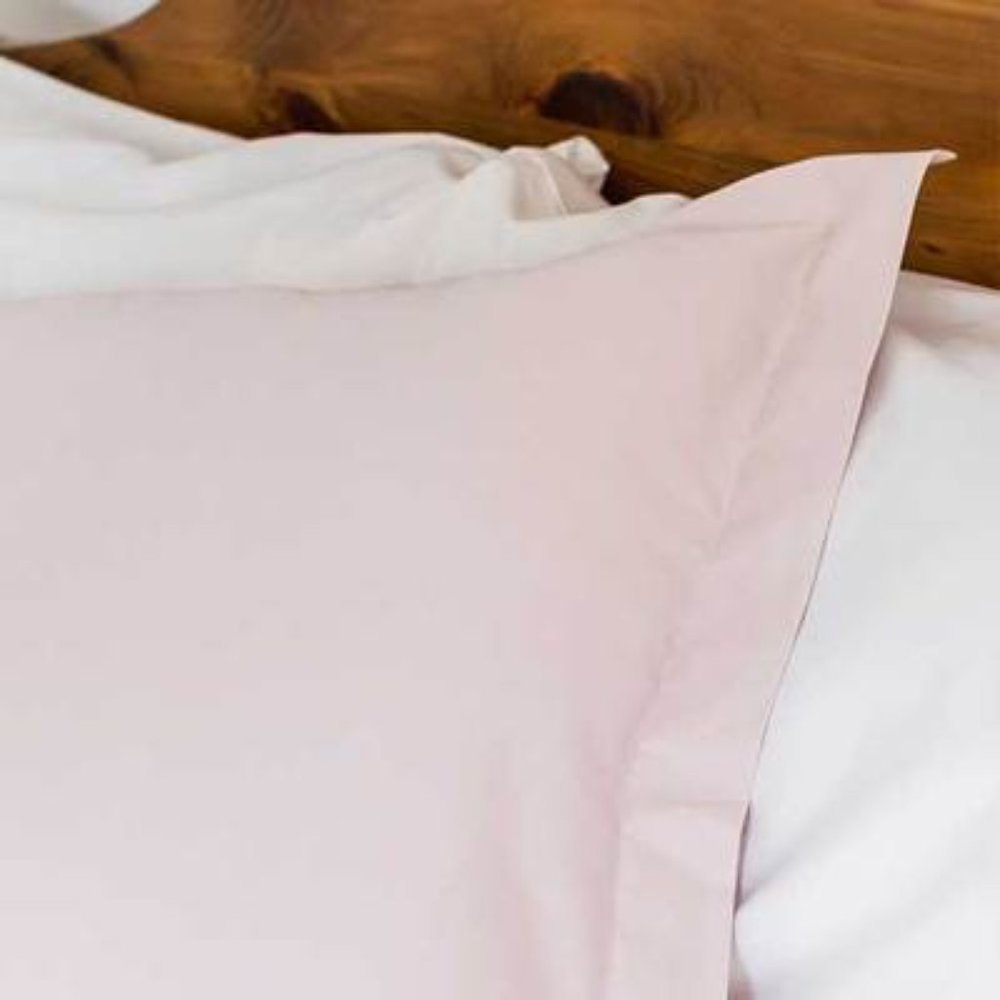 NWT Organic Cotton Sham (Single) - Blush (Standard)